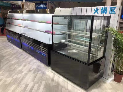 【鄭州定制冷風柜品牌直銷直銷冷柜串串香火鍋店使用】-